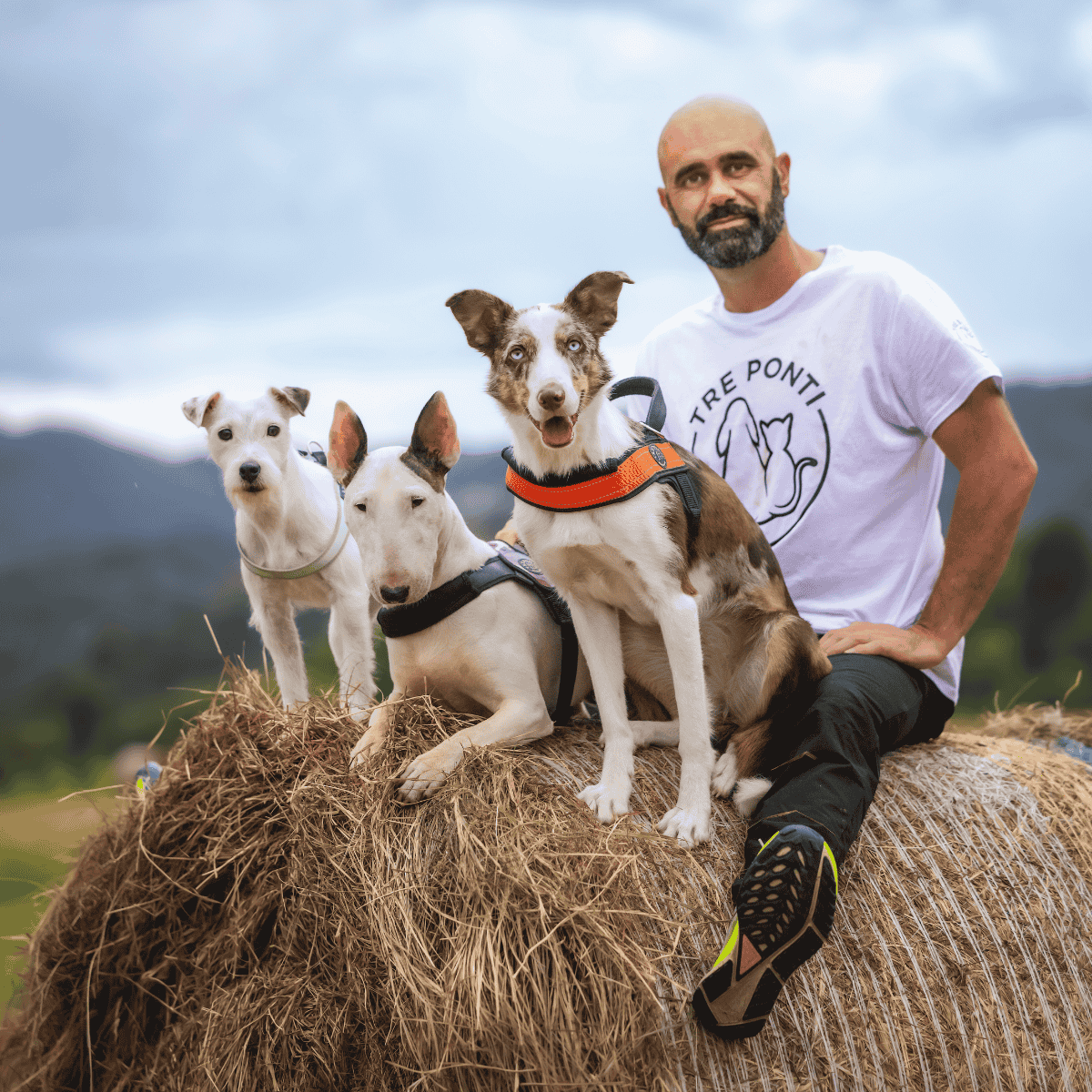 Adrian Stoica e i suoi cani